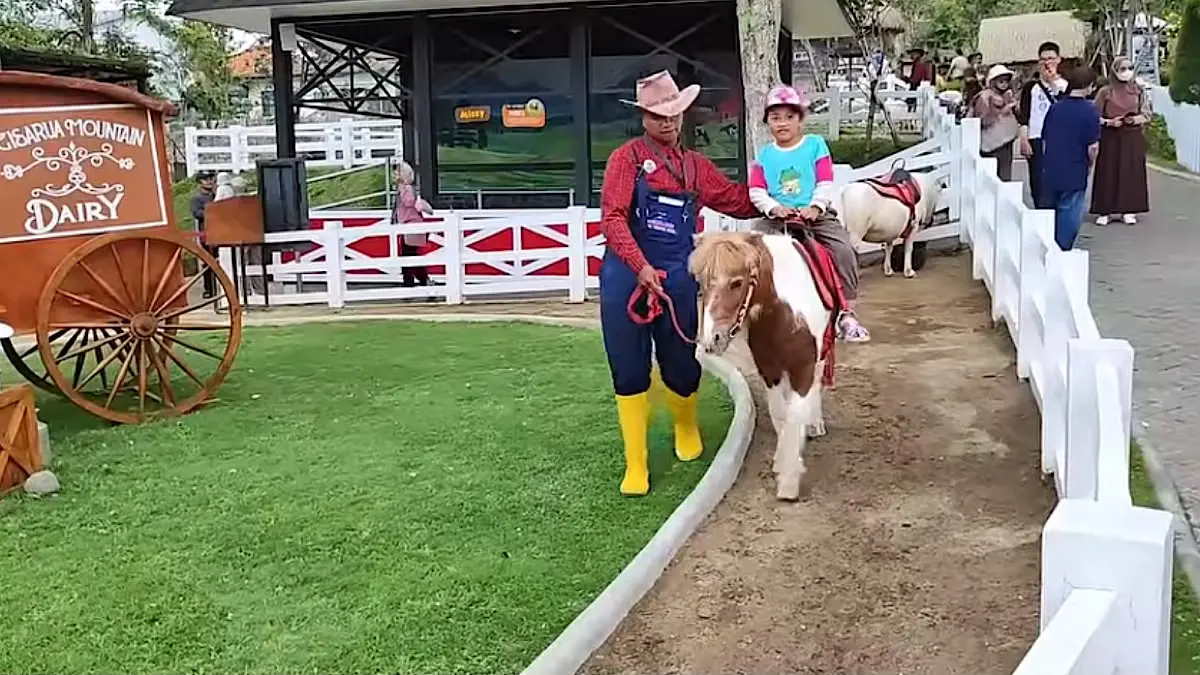 Chimory Dairy Land Prigen: Destinasi Liburan Keluarga dengan Nuansa Jepang dan Aktivitas Seru
