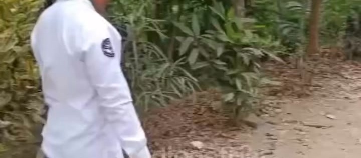 Damkar Kabupaten Blitar Berhasil Evakuasi Monyet yang Mengganggu Warga Sutojayan