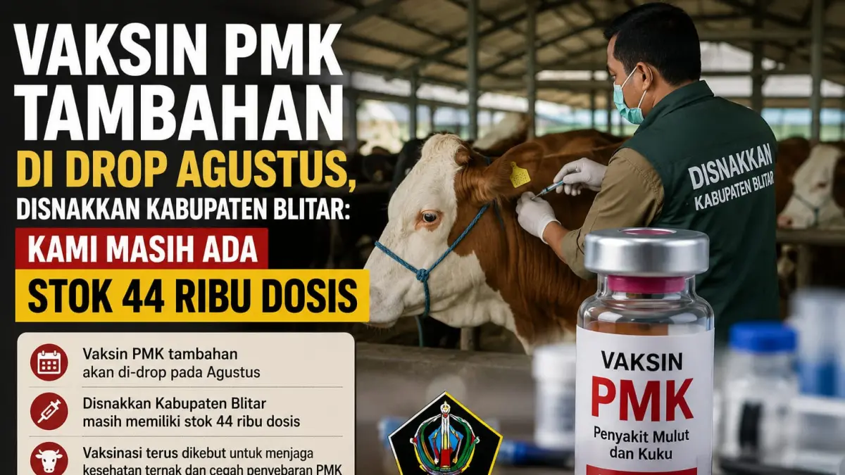 Dinas Peternakan Blitar Pastikan Vaksin PMK Berlanjut hingga 2026 dengan Stok 44 Ribu Dosis