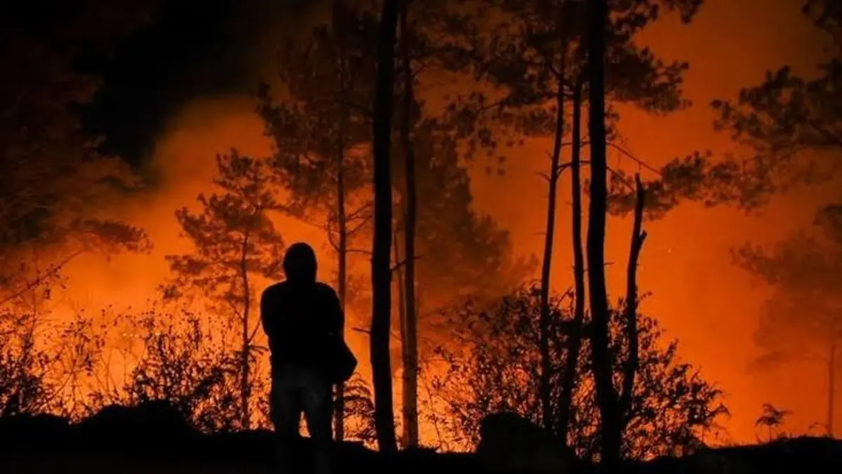 Kabut Asap dari Kebakaran Hutan Sebabkan Gangguan Aktivitas di Palangkaraya