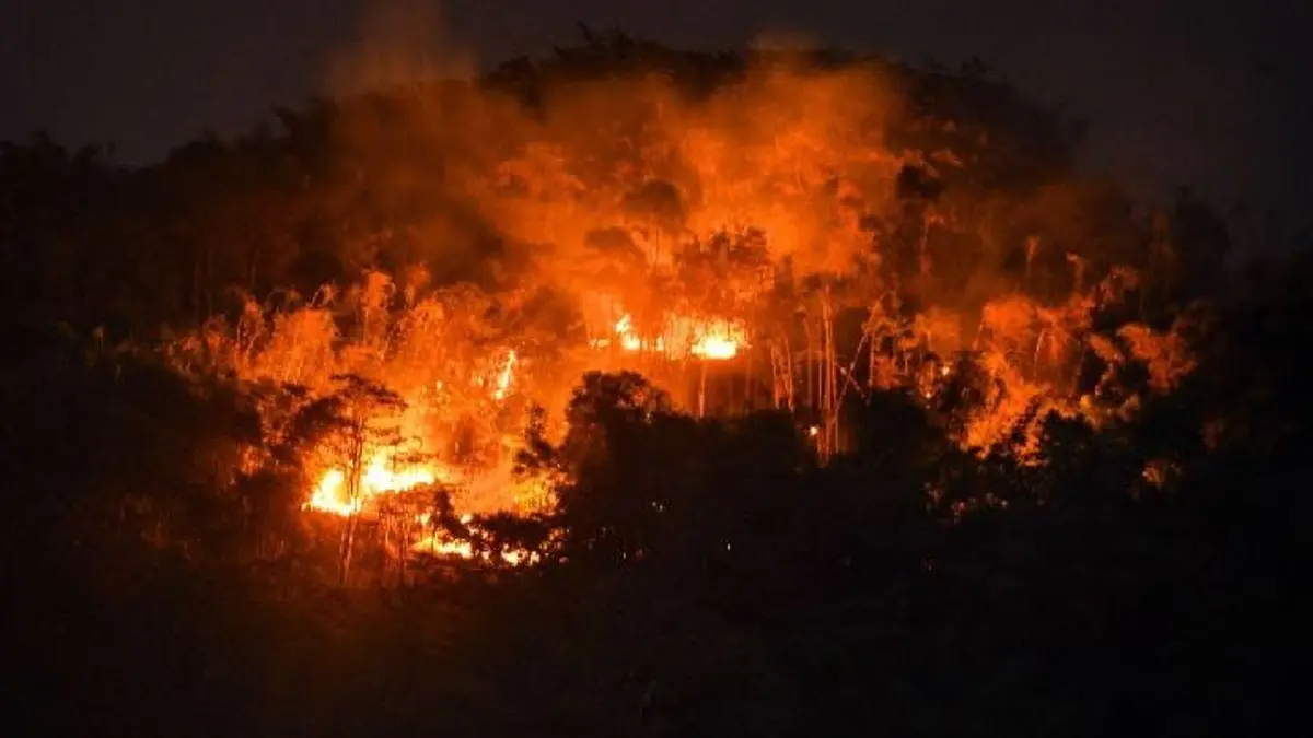 Kabut Asap Palangkaraya Meningkat, Jarak Pandang Berbahaya untuk Pengendara