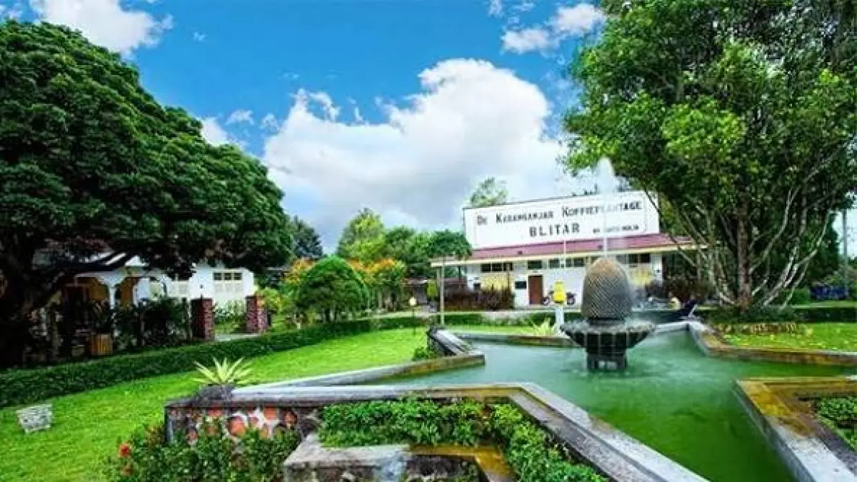 Karanganyar Coffee Blitar: Destinasi Wisata Sejarah dan Edukasi di Tengah Perkebunan Kopi