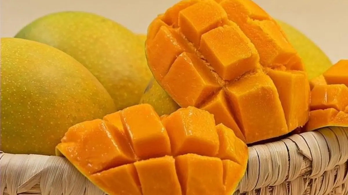 Keajaiban Mangga: Manfaat Luar Biasa untuk Kesehatan Gula Darah dan Usus
