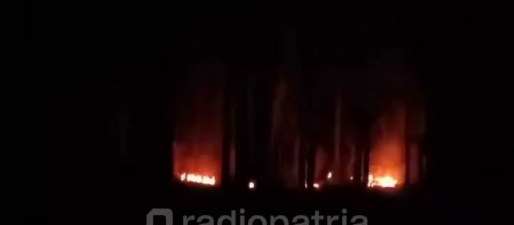 Kebakaran Hutan di Bendungan Serut: Warga Melaporkan Insiden Melalui WhatsApp