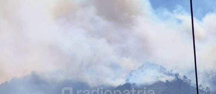 Kebakaran Hutan di Gunung Butak: BPBD Blitar Siapkan Tanggapan Cepat