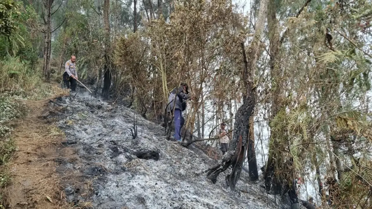 Kebakaran Hutan di Gunung Butak Meluas, Upaya Waterbombing Terkendala Angin Kencang