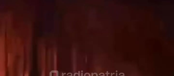 Kebakaran Hutan di Jegu Sutojayan: Kerja Sama Komunitas Menghadapi Musibah