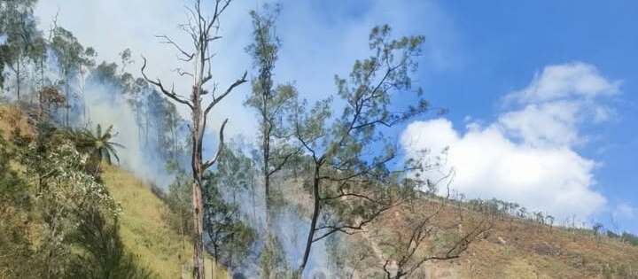 Kebakaran Hutan Gunung Butak Meluas: Tim Gabungan Fokus pada Keamanan di Blitar