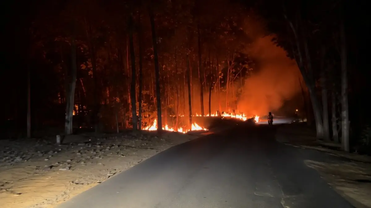 Kebakaran Hutan Jati di Blitar: 1,5 Hektare Terbakar, Petugas Berhasil Kendalikan Api