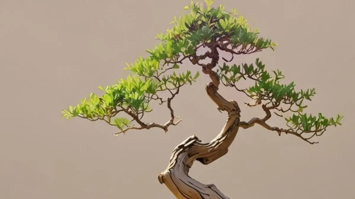 Keindahan Bonsai Serut Memukau di Pameran Nasional, Menjadi Primadona Para Kolektor