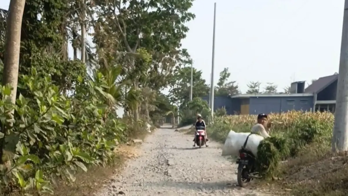 Kondisi Jalan Penghubung Gandusari-Wlingi Memprihatinkan, Warga Desak Perbaikan Segera