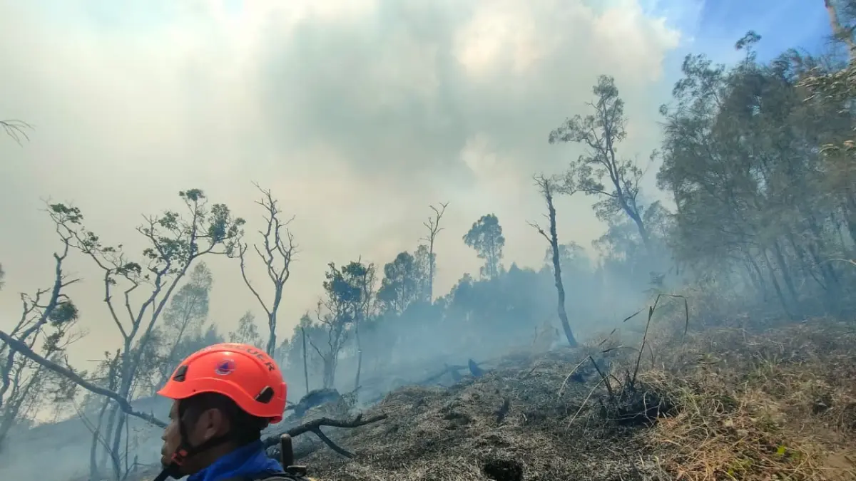 Kondisi Karhutla di Gunung Kawi Semakin Mengkhawatirkan, Upaya Waterbombing Tertunda Akibat Cuaca Buruk