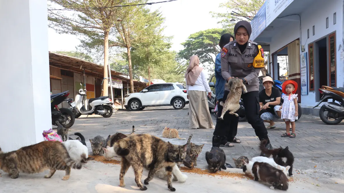 Kucing Liar di Pasar Banggle Terima Layanan Kesehatan Gratis dari Disnakkan Blitar