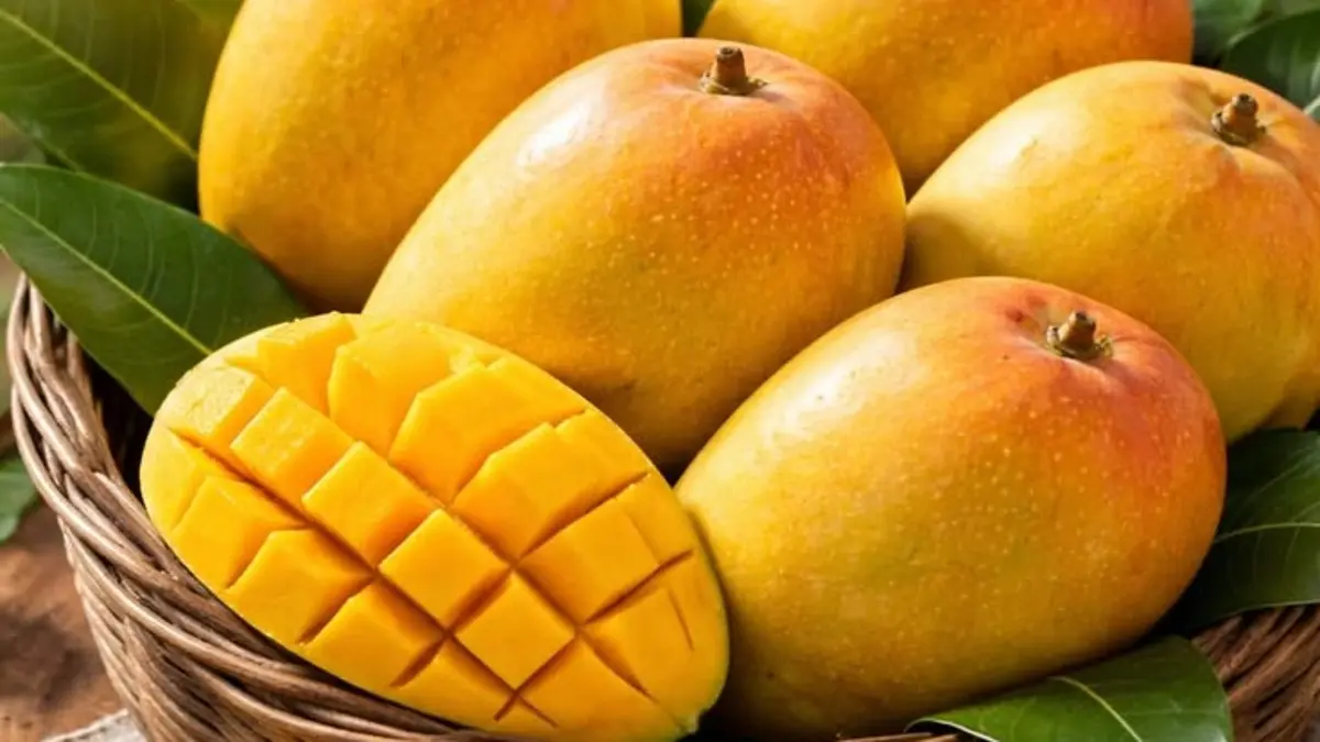 Mangga: Buah Manis yang Perlu Diperhatikan Konsumsinya untuk Kesehatan