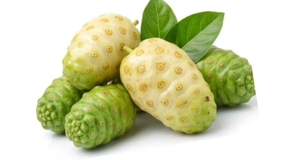 Mendukung Kesehatan Jantung Sejak Usia Muda: Pentingnya Mengonsumsi Buah-buahan Bergizi