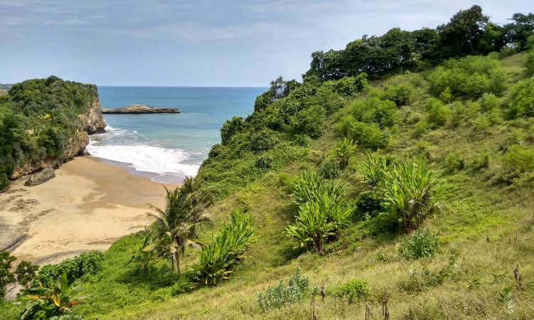 Menelusuri Keindahan Karang Laut di Pantai Princen Blitar