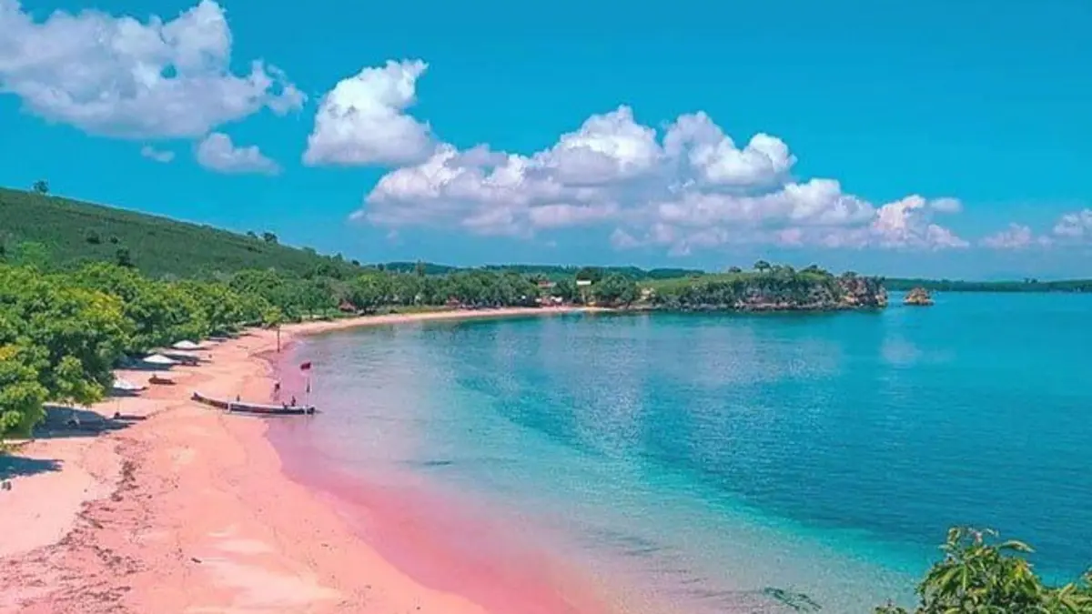 Mengenal Pantai Pink: Keindahan Alam yang Memikat di Lombok Timur