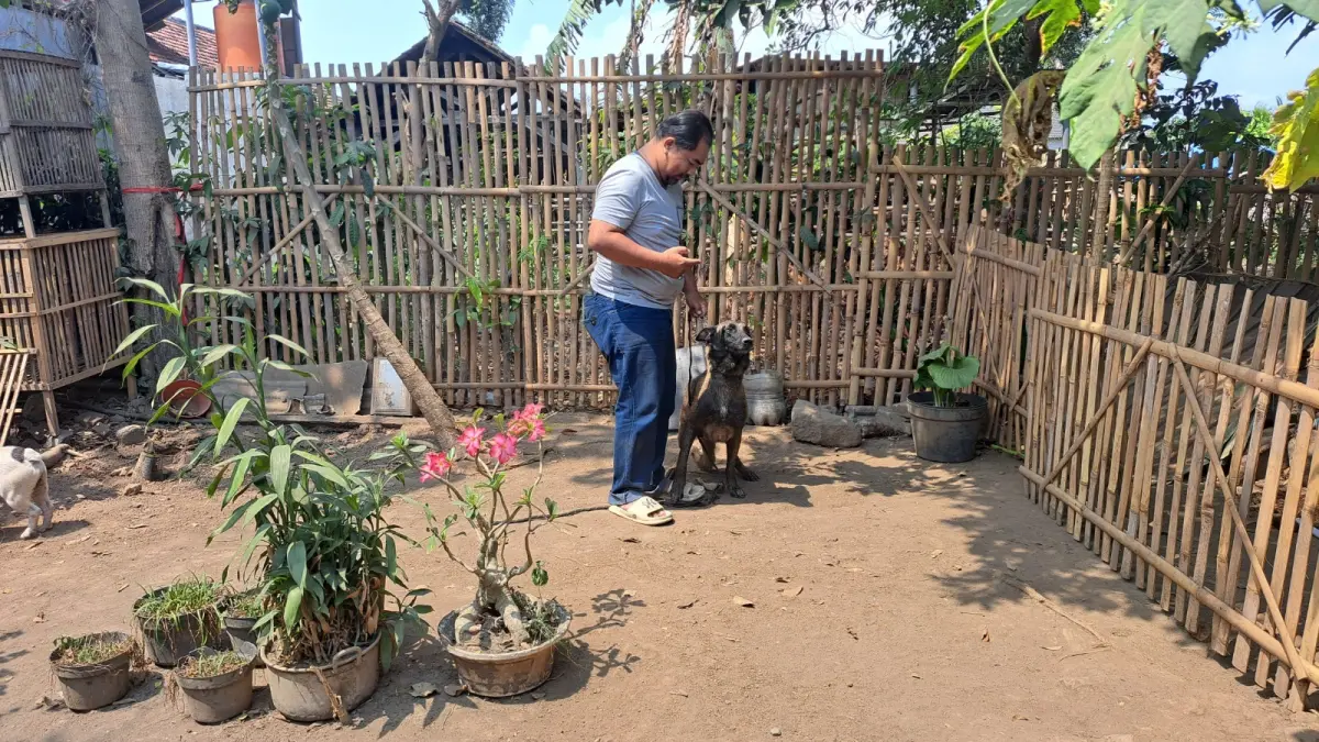 Menggali Potensi Anjing Peliharaan: Jasa Pelatih Anjing di Blitar yang Beromzet Jutaan Rupiah