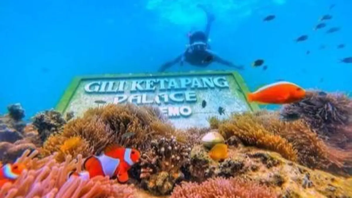Menikmati Pesona Gili Ketapang Probolinggo: Snorkeling dan Kuliner Seafood dari Rp100 Ribu