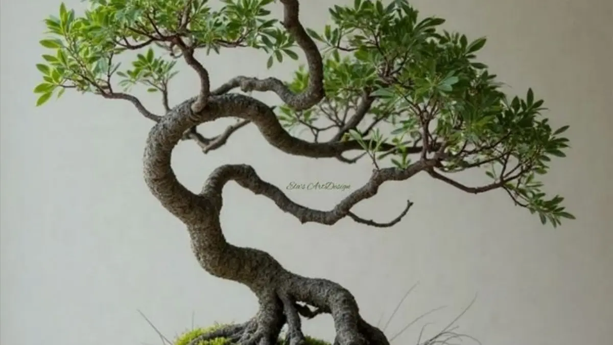 Panduan Merawat Bonsai Asem Jawa: Tips Prof Mas Pardi untuk Pemula di Blitar