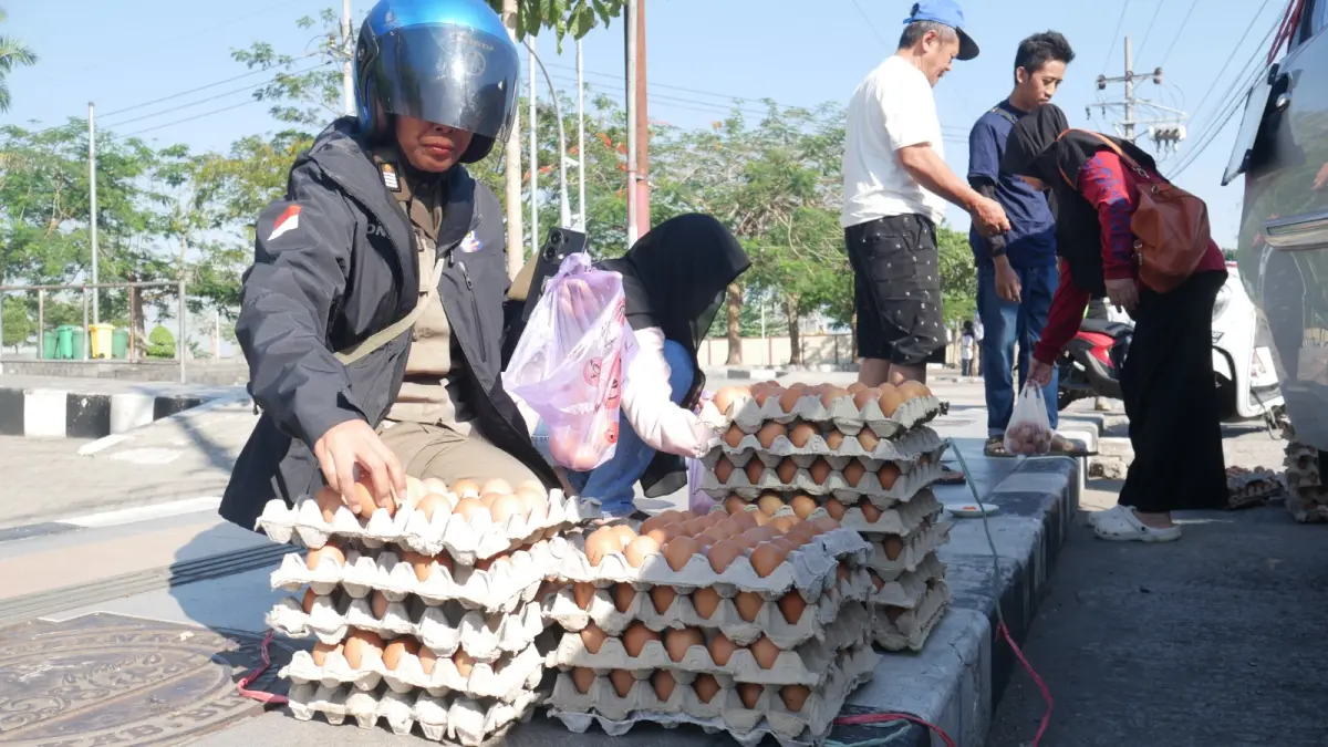 Pemkab Blitar Berupaya Kembangkan Pasar Baru untuk Mendukung Peternak Ayam Petelur