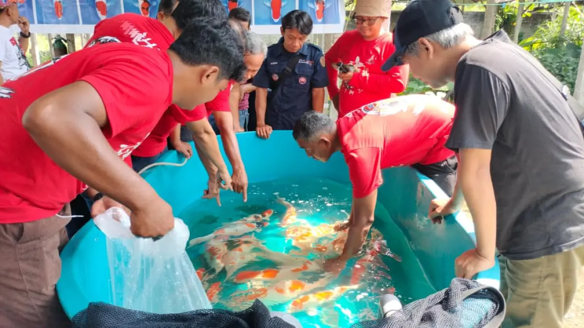 Pentingnya Menjaga Kualitas Air dalam Budidaya Ikan: Disnakkan Blitar Ingatkan Waspada terhadap Penyakit White Spot