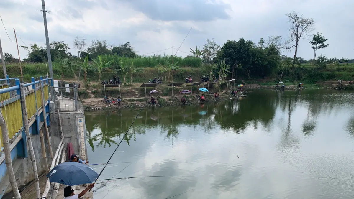 Penyusutan Volume Air Embung Jatimalang: Peluang Baru bagi Pemancing di Blitar