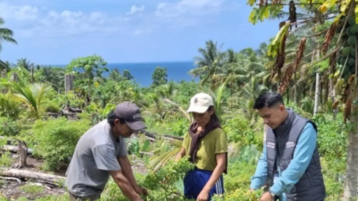 Peran Vital Andrew Christy Darea sebagai Mantri BRI dalam Mendorong Perekonomian Warga Kepulauan Talaud
