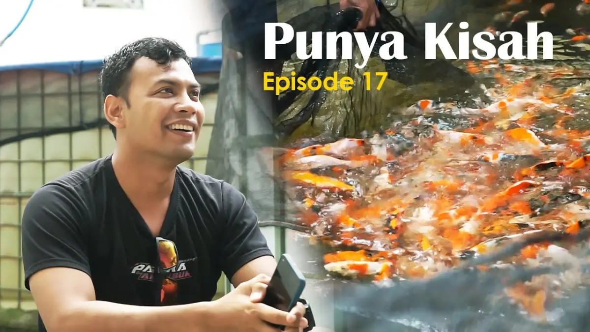 Perjalanan Inspiratif Peternak Ikan Koi Blitar: Dari Buruh Serabutan Menjadi Pemasok Terpercaya Nasional