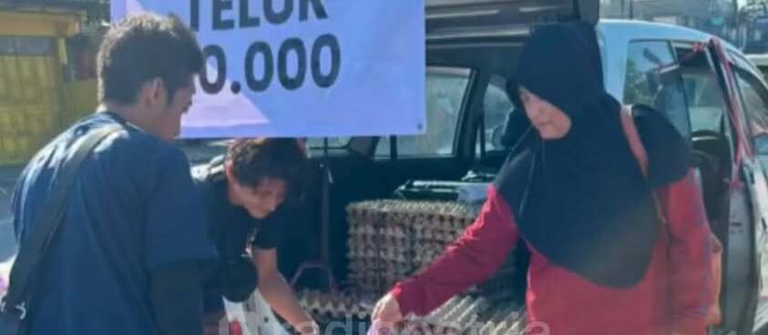 Peternak Ayam Petelur Blitar Turunkan Harga Telur dan Jual Ayam Afkir Sebagai Solusi Atasi Anjloknya Harga