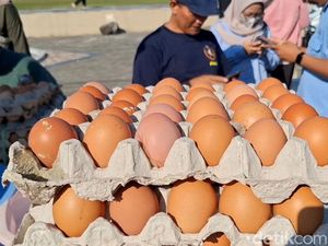 Peternak Blitar Gelar Obral Telur Murah untuk Lawan Tengkulak