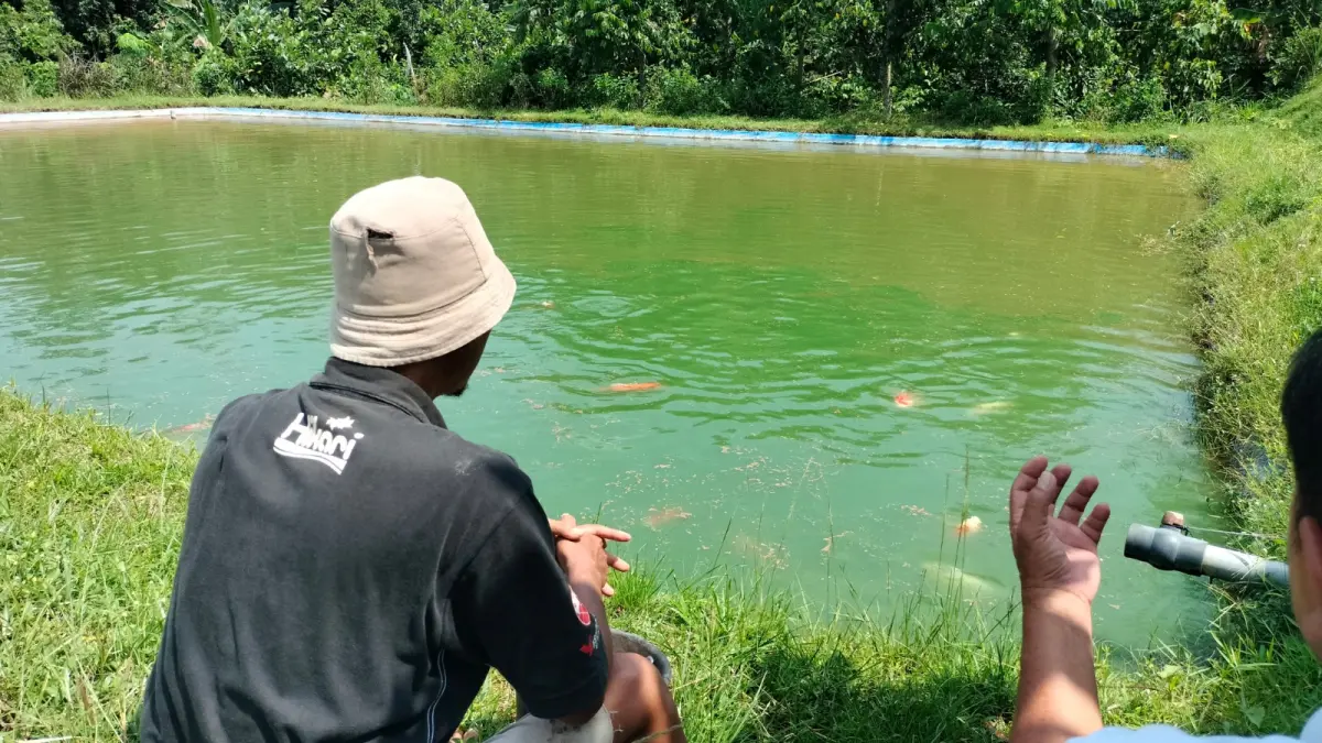 Peternak Ikan Blitar Dihimbau Siapkan Sumber Air Alternatif Menyongsong Musim Kemarau