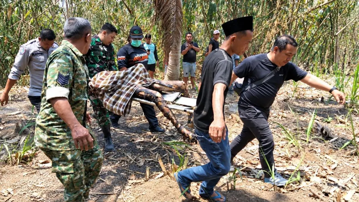 Tragedi Kebakaran: Kakek 81 Tahun di Kesamben Tewas Terjebak Api saat Membersihkan Kebun
