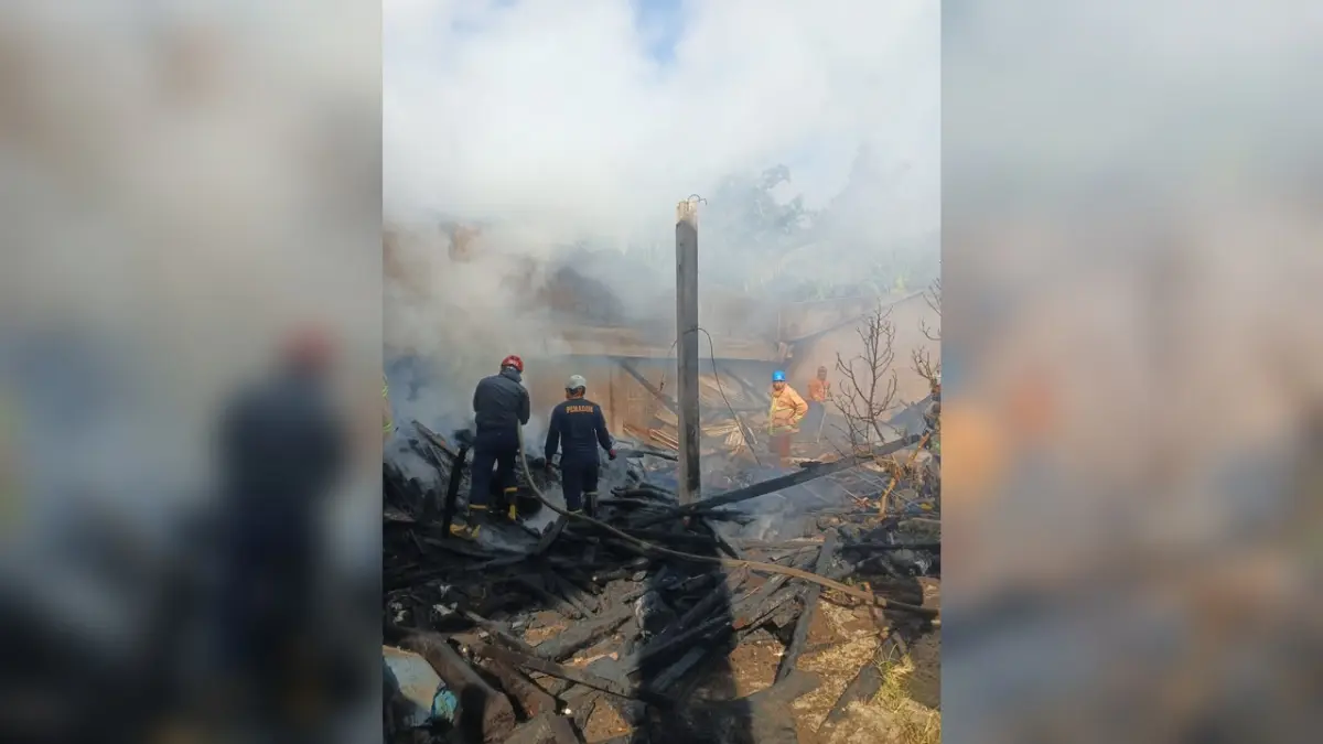 Tragedi Kebakaran Kandang Ayam KUB di Gandusari: 450 Ayam Mati dan Kerugian Rp100 Juta