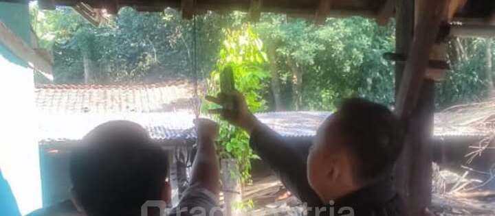 Tragis: Warga Kanigoro Ditemukan Meninggal Dunia Diduga Bunuh Diri