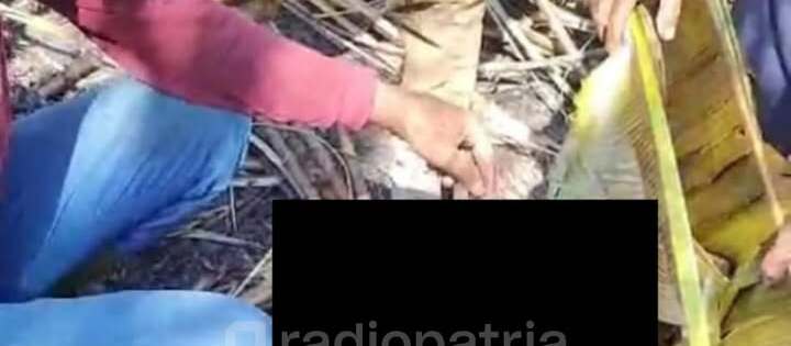 Tragis, Warga Tumpakkepuh Ditemukan Meninggal akibat Kebakaran Lahan Tebu