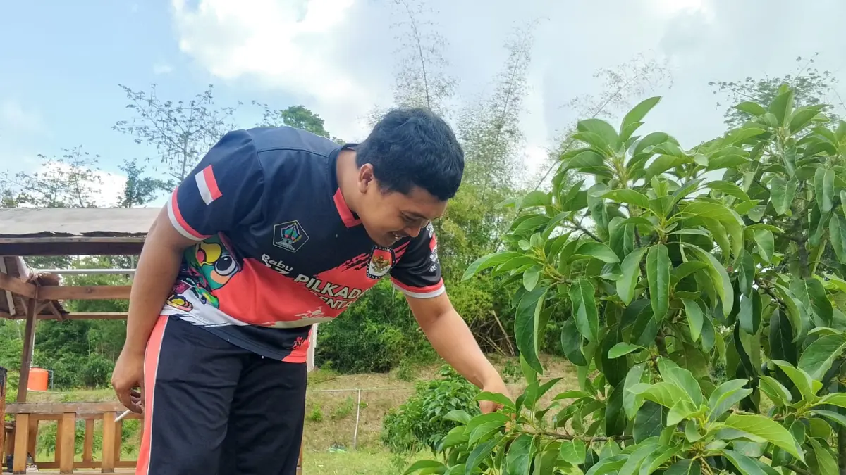Transformasi Lahan Bekas Tambang Pasir di Blitar Menjadi Kebun Alpukat: Meningkatkan PAD Desa dan Ekonomi Warga
