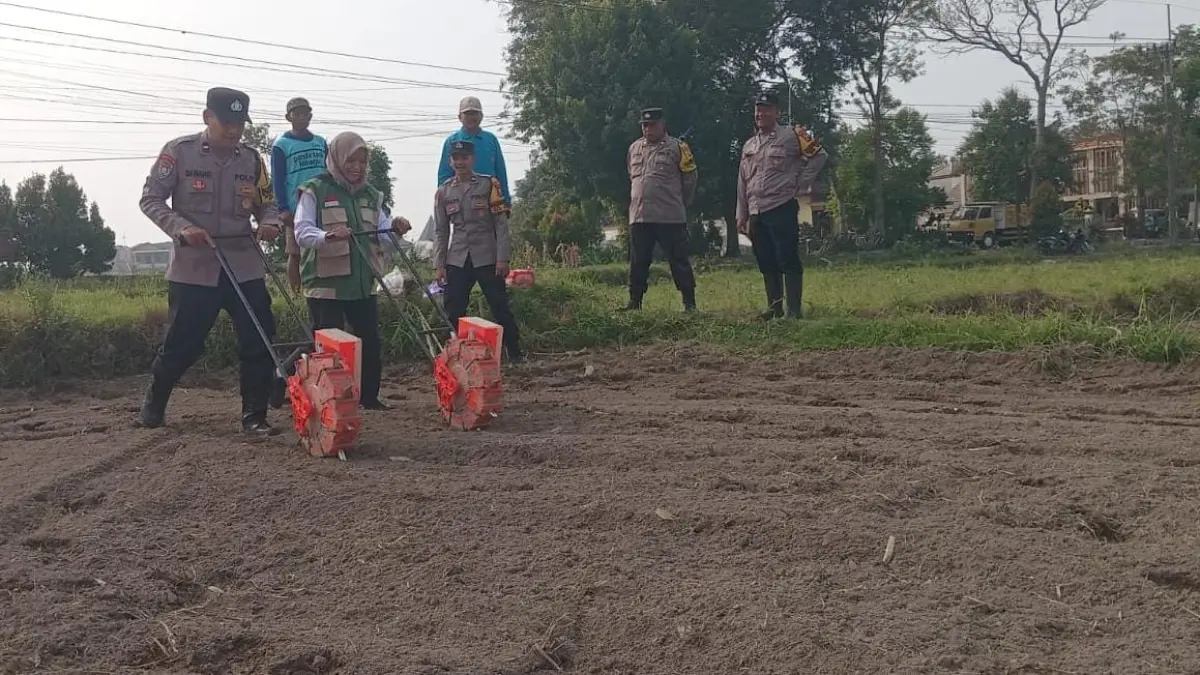 Transformasi Lahan Kosong Menjadi Kebun Jagung: Inisiatif Polsek Wlingi Dalam Mendukung Ketahanan Pangan