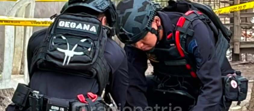 Warga Dadapan Blitar Dikejutkan Oleh Penemuan Granat Berbentuk Nanas di Rumah Purnawirawan TNI