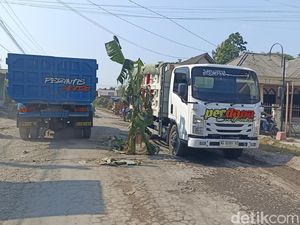 Warga Karangrejo Protes Jalan Rusak dengan Tanaman Pisang