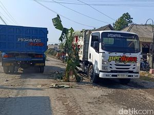 Warga Karangrejo Tanam Pohon Pisang Sebagai Bentuk Protes Jalan Rusak