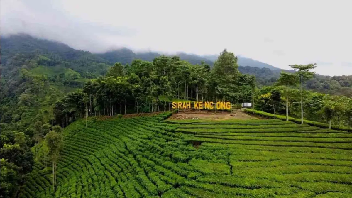 Wisata Sirah Kencong Blitar: Surga Alam dengan Beragam Daya Tarik untuk Anda